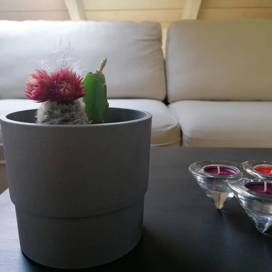 אפרטהוטל Argostoli Loft מראה חיצוני תמונה