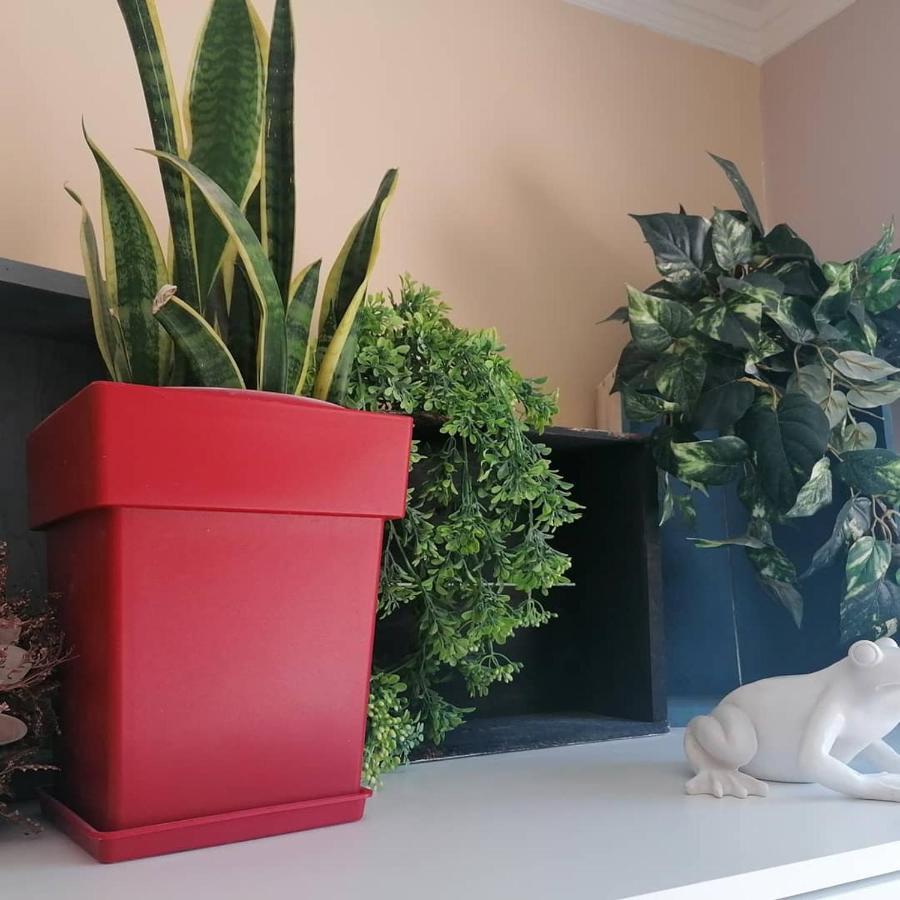 אפרטהוטל Argostoli Loft מראה חיצוני תמונה